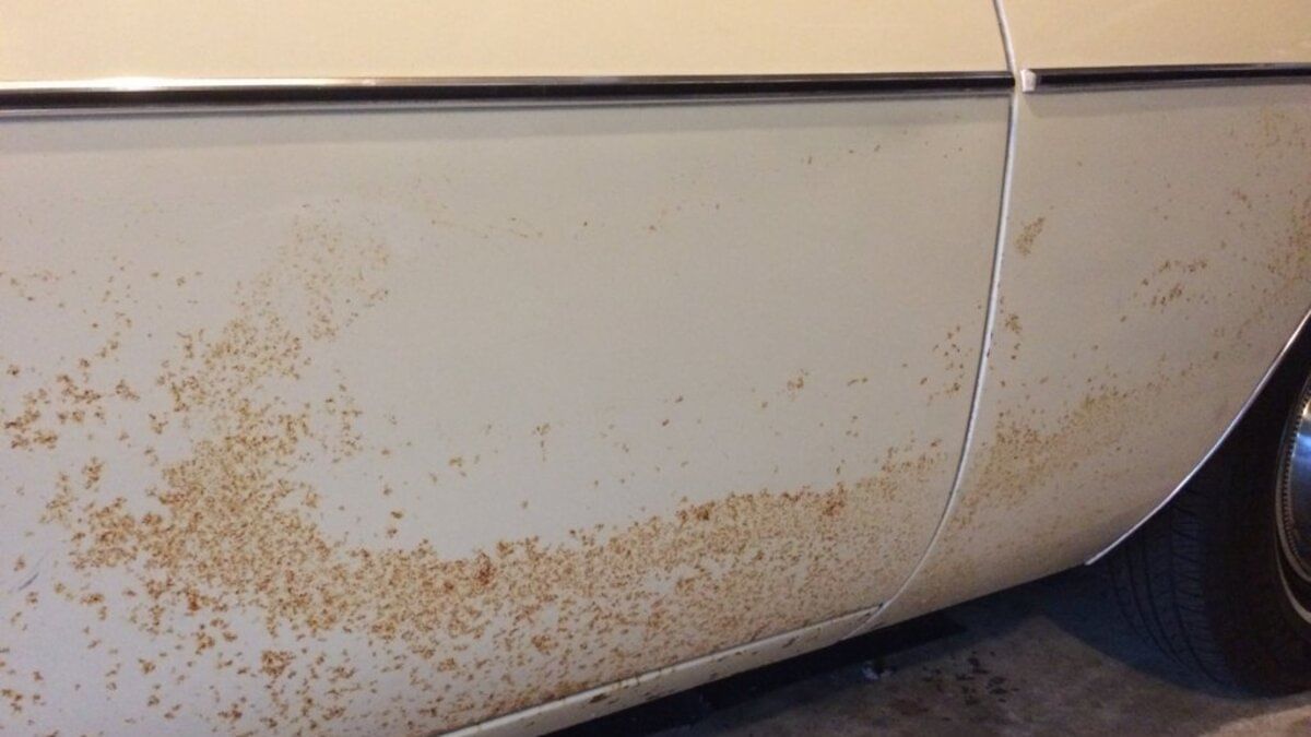 Car scratch rust on sale prevention