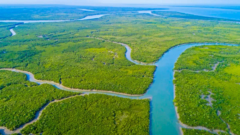 Sundarban