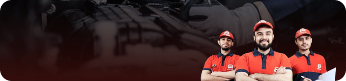 Professional car service